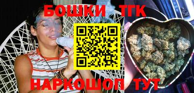 индика Лесосибирск