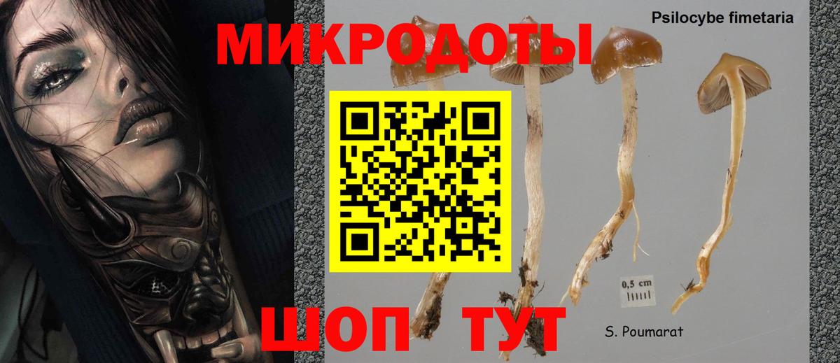 Галлюциногенные грибы Cubensis  Вход с VPN  Псилоцибиновые грибы MAGIC MUSHROOMS  Вязьма 